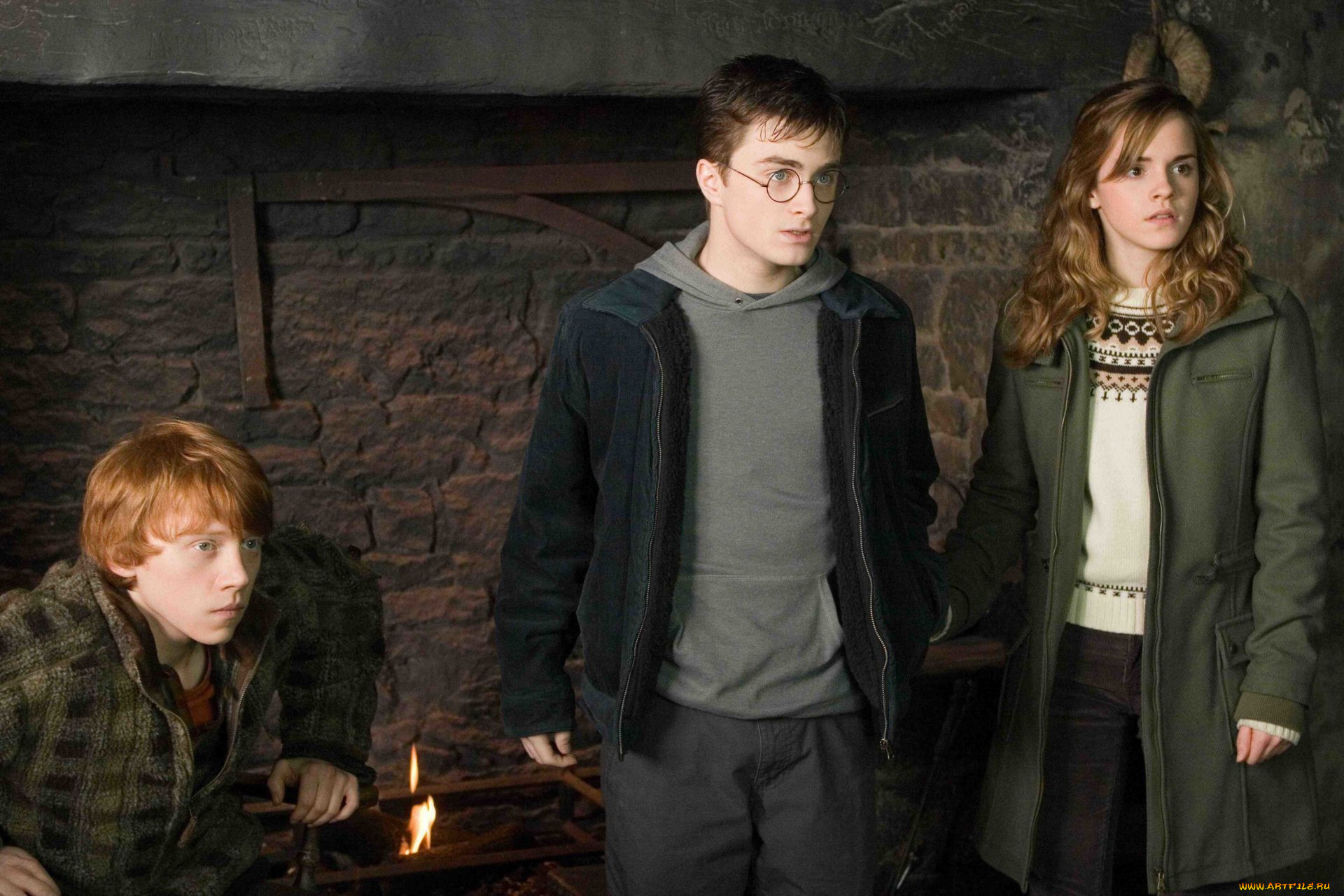  , harry potter and the order of the phoenix, , , , , , , 